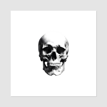 Temporary tattoo “skeleton skull”